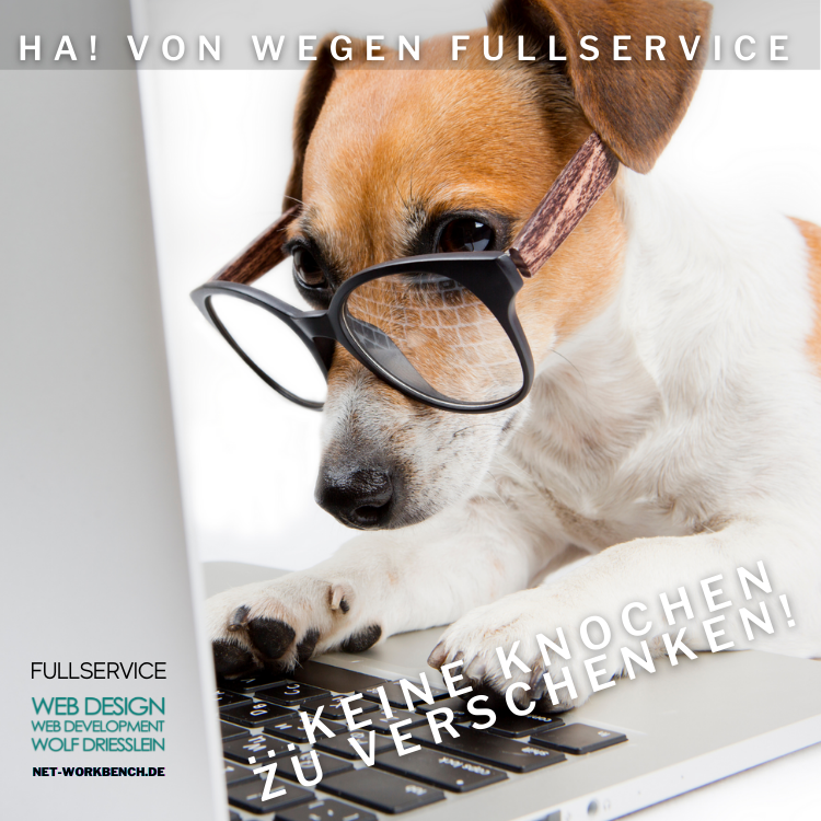 Web Design Hund sucht im Internet 